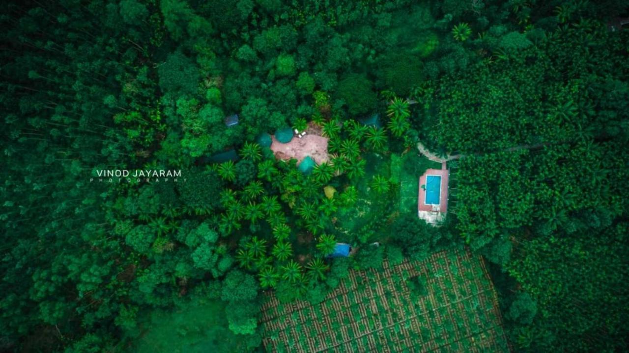Staymaker Coorg Jungle Stay Resort Kushālnagar Zewnętrze zdjęcie